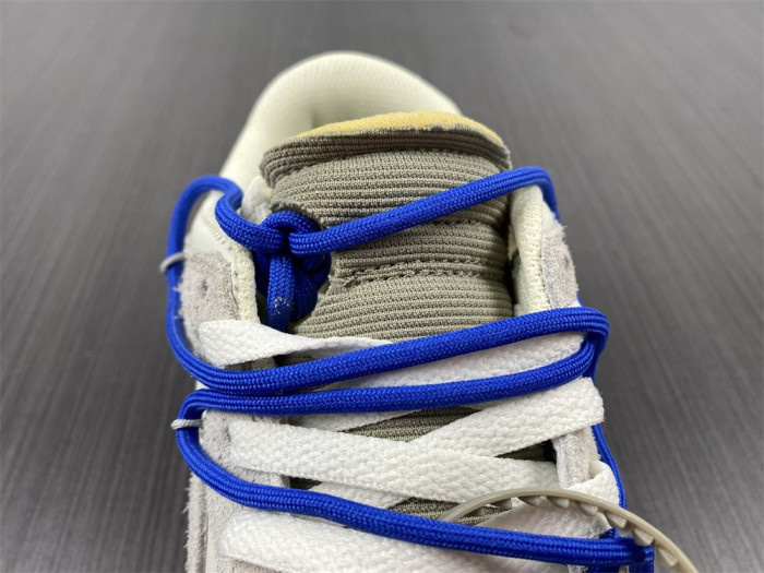 ofw x dunk low 