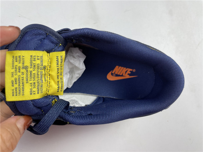 nike dunk low michigan - dd1391-700