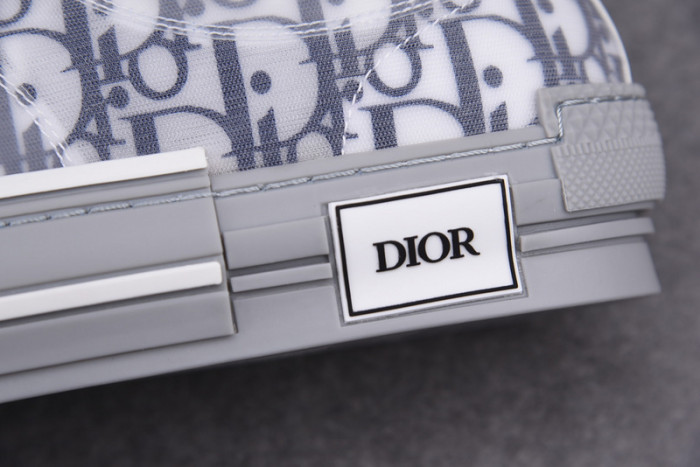 d10r b23 oblique low top sneaker