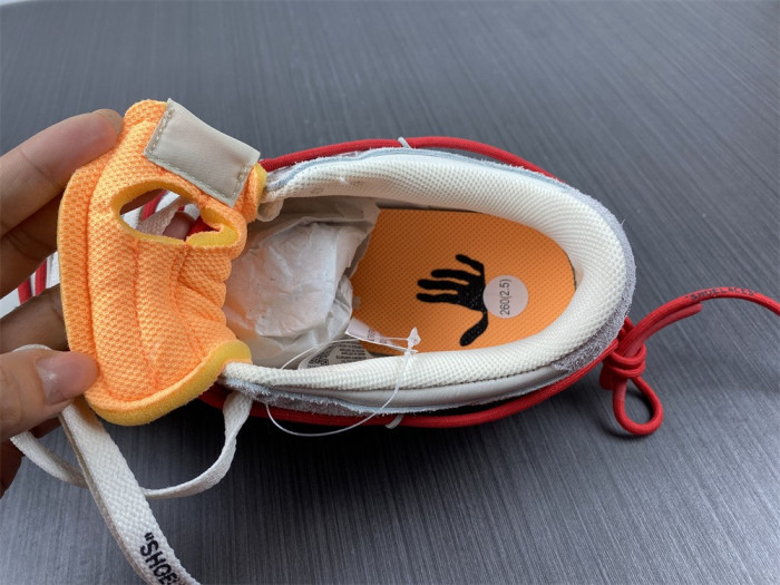 ofw x dunk low 