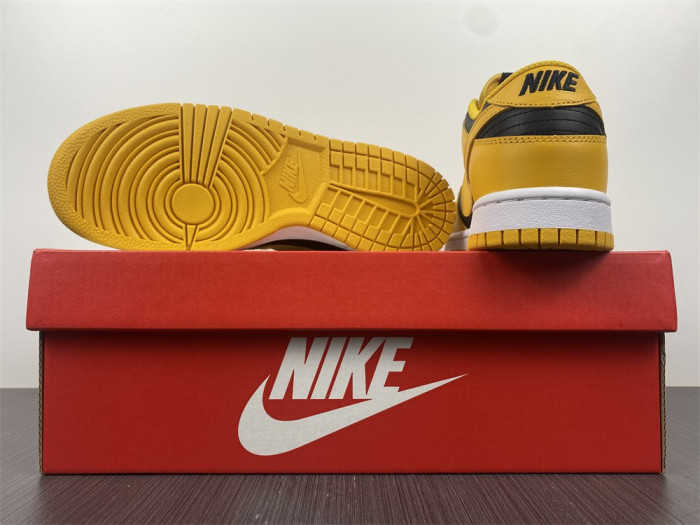 dunk low 