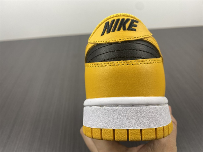 dunk low 