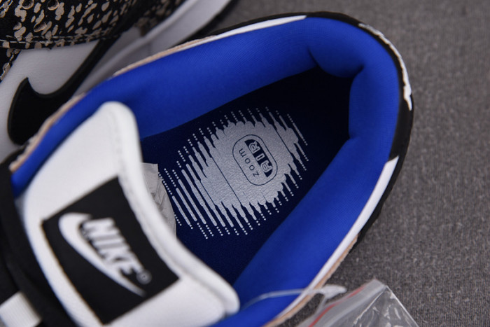 nike S*p*e x dunk low pro sb