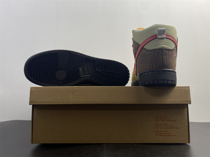 color skates x dunk high sb 