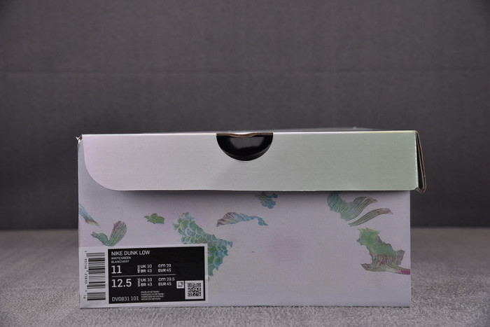 nike sb dunk low dv0831-101