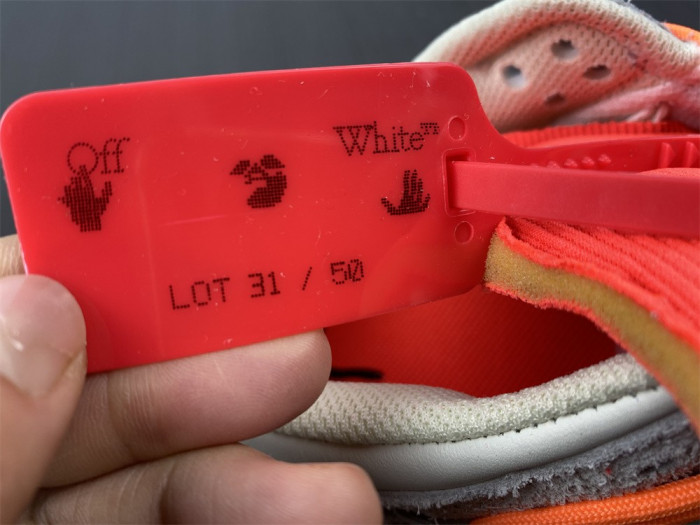 ofw x dunk low 