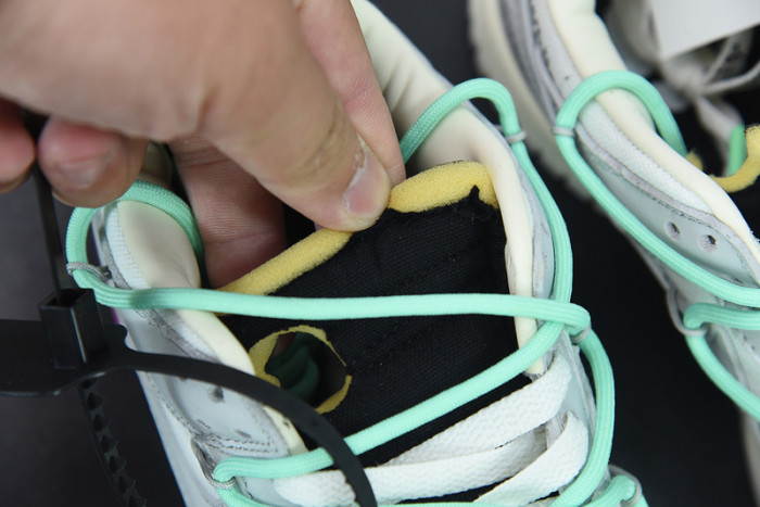ofw x dunk low 