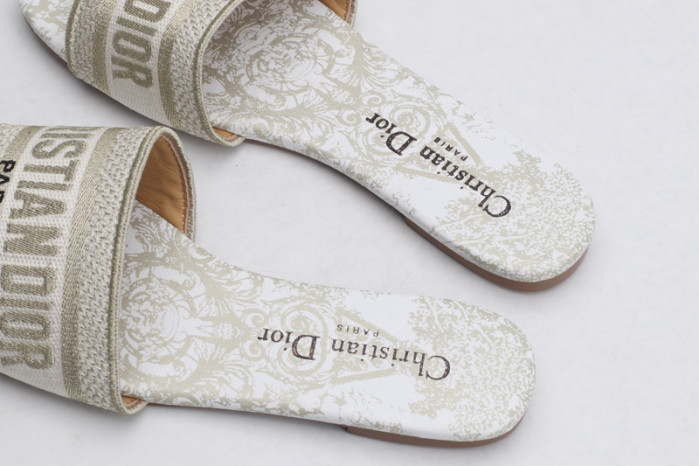 Ch**an di0r slides