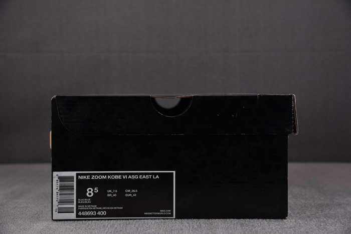 nike zoom kobe 6 “asg east la” 448693-400