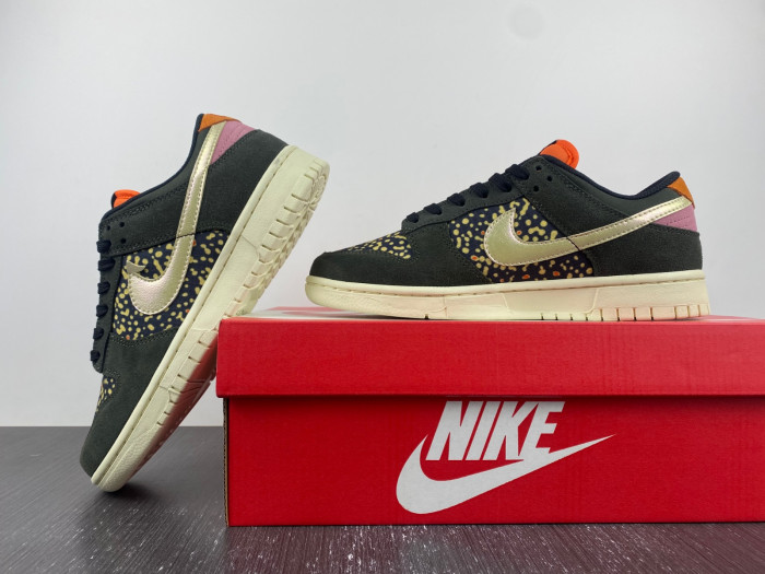 nike dunk low  fh7523 300
