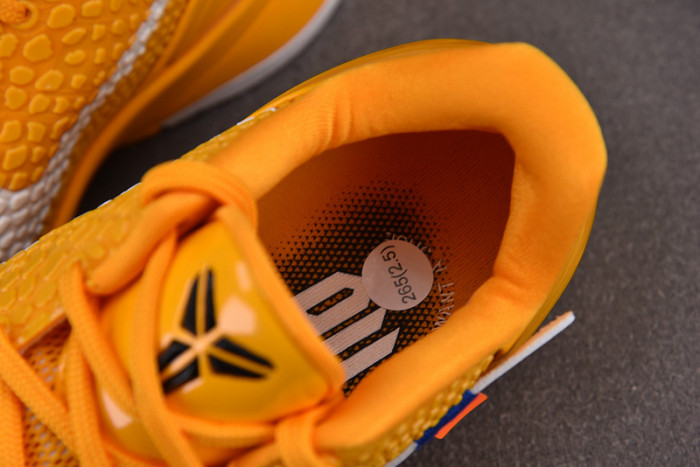 nike zoom kobe vi protro mambacita cw2190-501