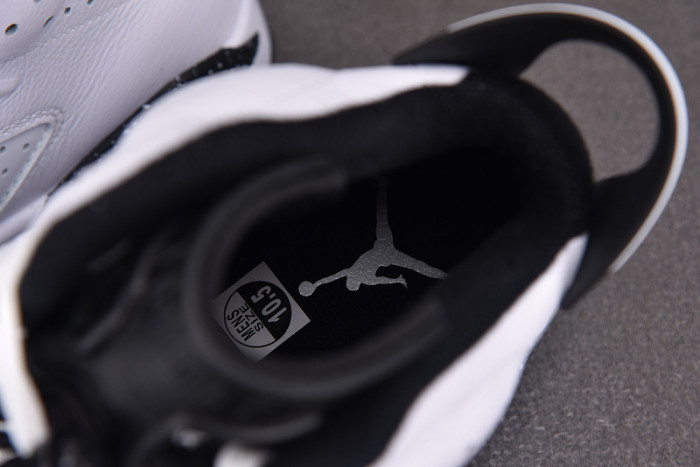 air jordan 6“reverse oreo” ct8529-112